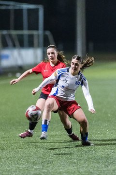 Bild 124 - wBJ Hamburger SV - Eimsbuettler TV 2 : Ergebnis: 16:0